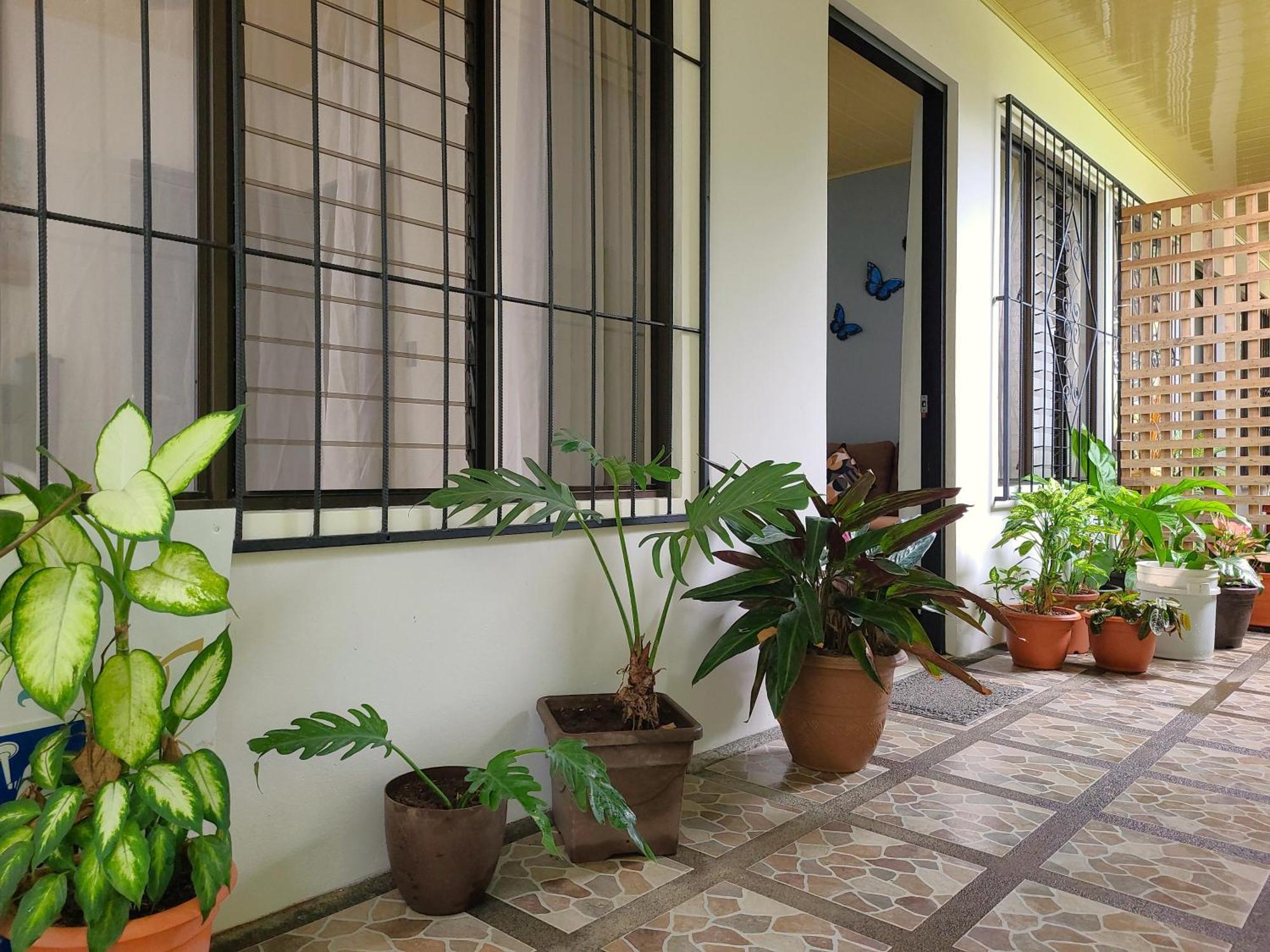 Butterfly Apartments La Fortuna Exterior foto