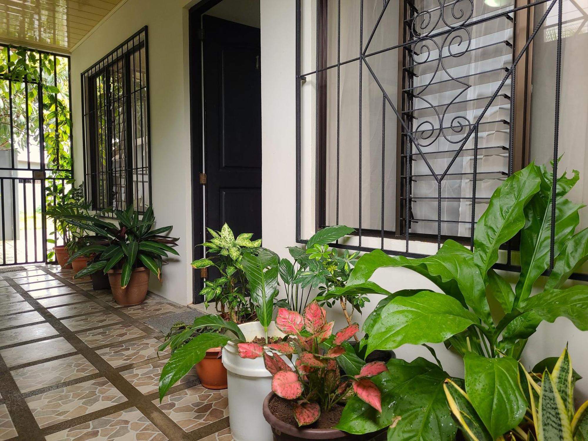 Butterfly Apartments La Fortuna Exterior foto
